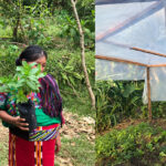 For photos of Colectivo MadreSelva Projects