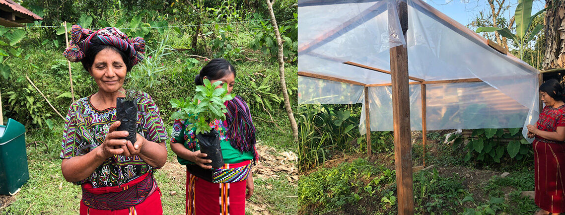 For photos of Colectivo MadreSelva Projects