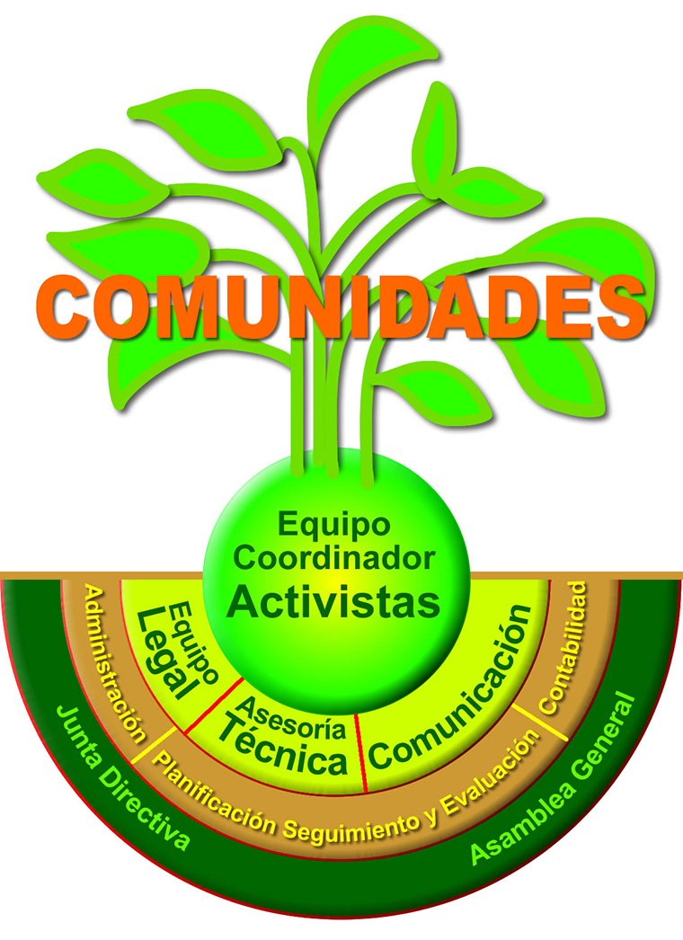 Equipo Coordinador Activistas