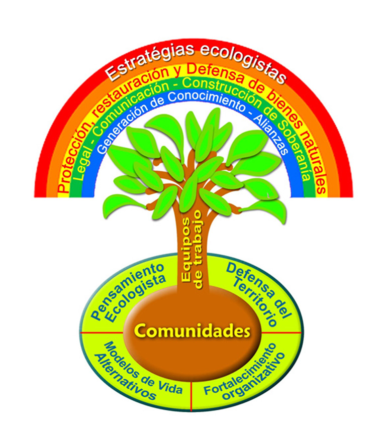 Estratégias Ecologistas